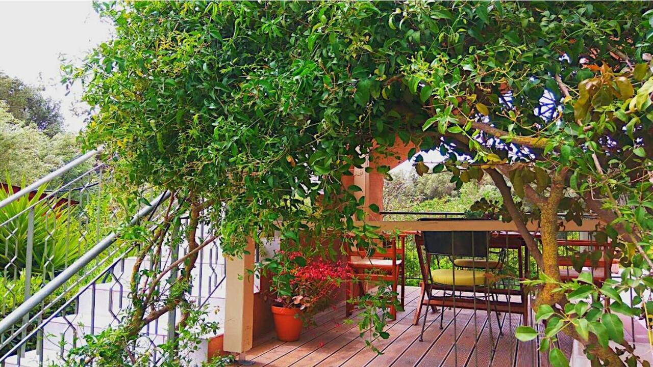Kefalonia Apartments - Marias Studios - 2 Bedroom Apartment In Orchard, Spartia Exterior foto